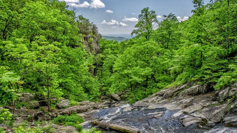 Comparison and choice of options